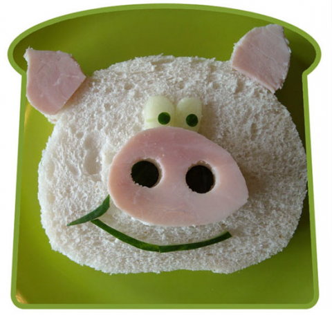 Picture-33-480x456.png