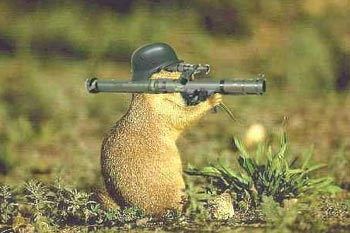 squirrel%20attack.jpg