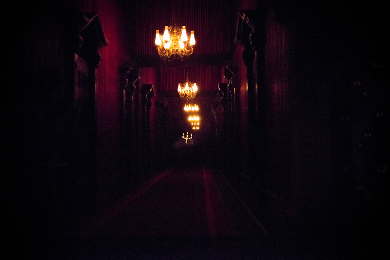 DSC_1186-L.jpg