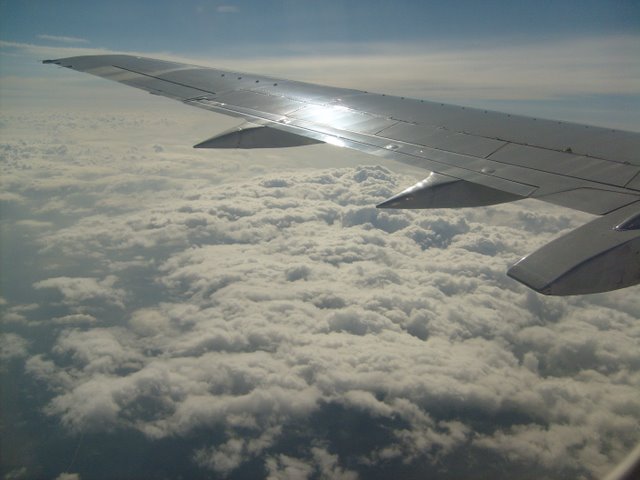 S6300802.JPG
