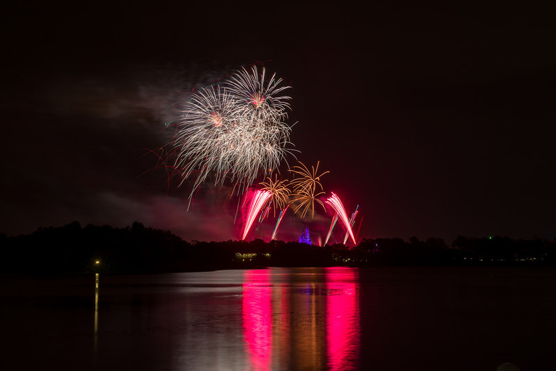 DSC_1548-L.jpg