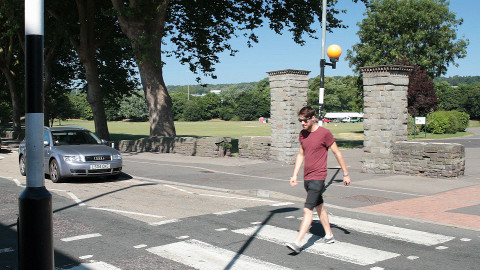 zebra_crossing_l1.jpg