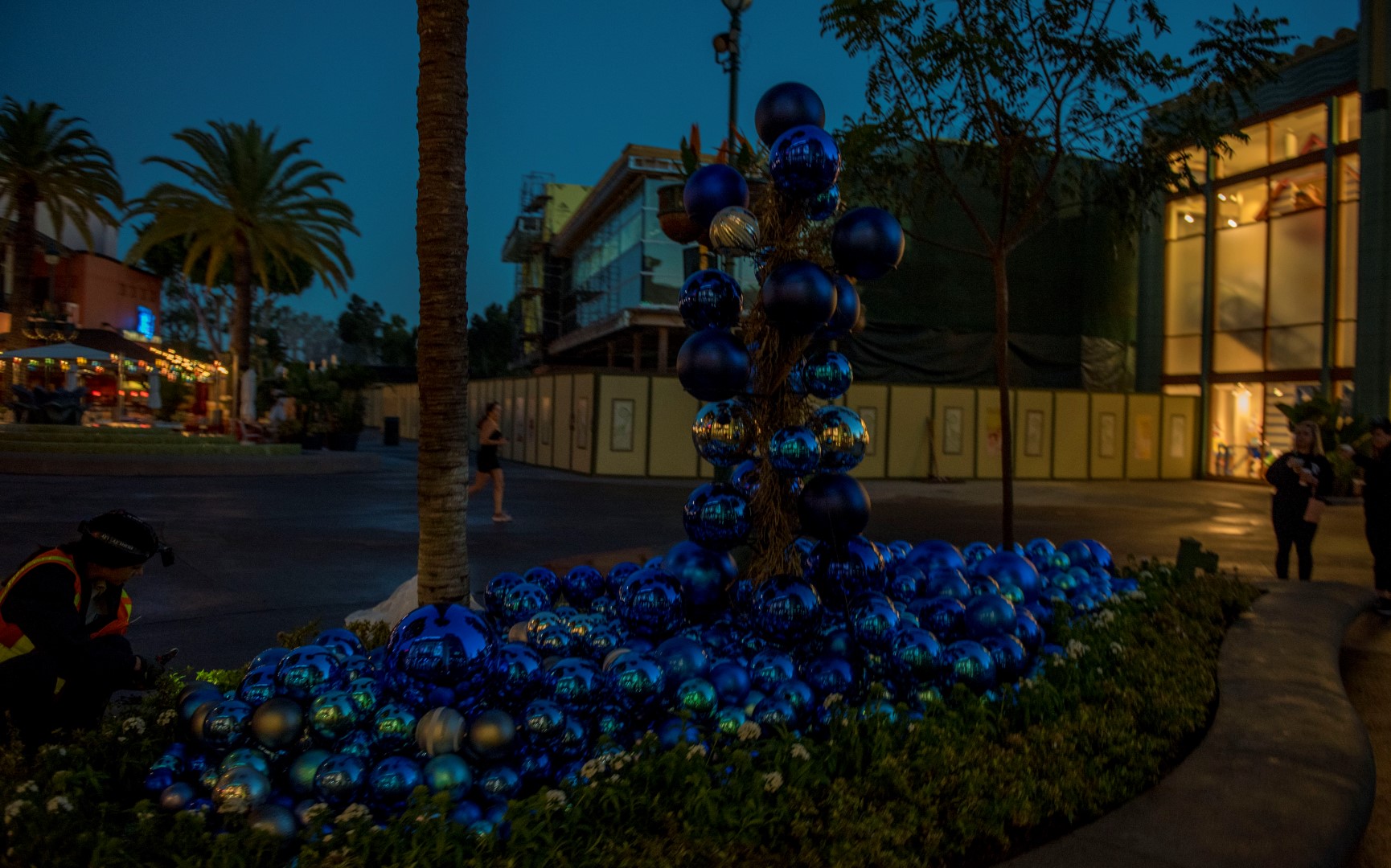 DSC_4251%20(Large).jpg