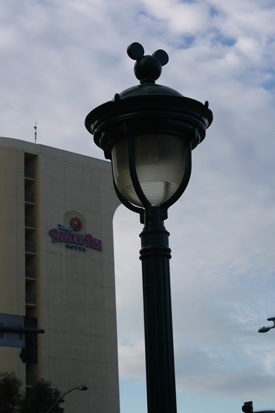 IMG9086-L.jpg