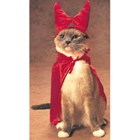 l_PetsDevilCat.jpg