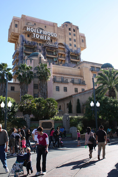 IMG0176-L.jpg