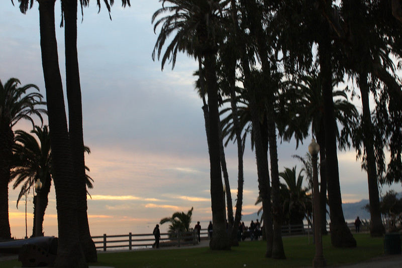 IMG_1114-L.jpg