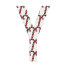 y.gif