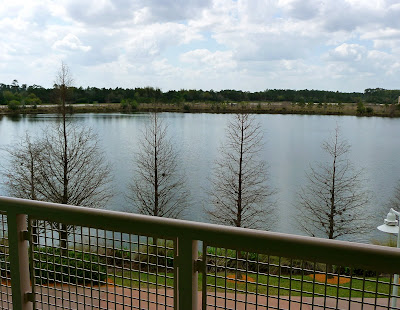 P1030941.JPG