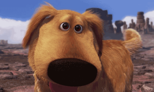 tumblr_ltg5usXZa31r488x5o1_500.gif