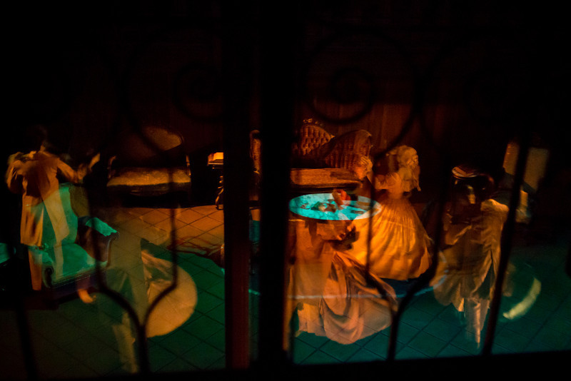 DSC_2521-L.jpg