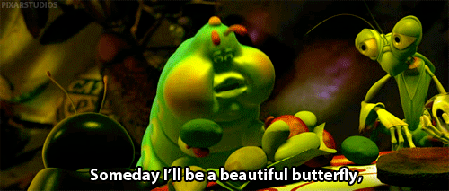 tumblr_m420x4VH2M1r7ozr1o1_500.gif