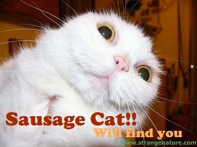 sausage+cat.jpg