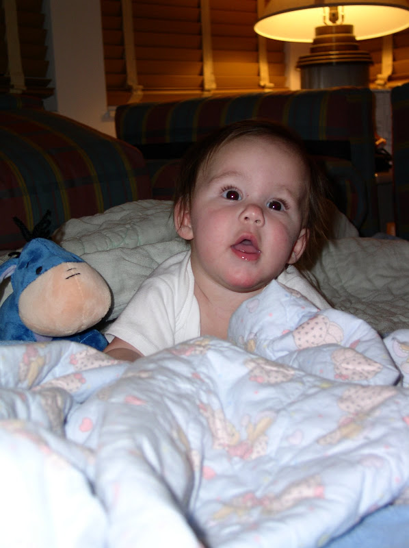 P1010015.JPG.jpg
