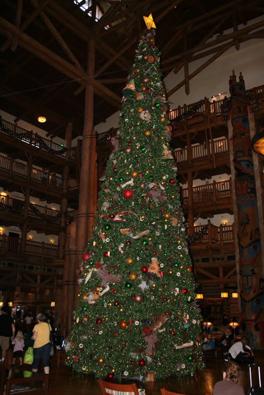 IMG_2922.JPG