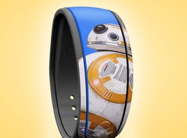 awaken-summer-magic-band-268x197.jpg