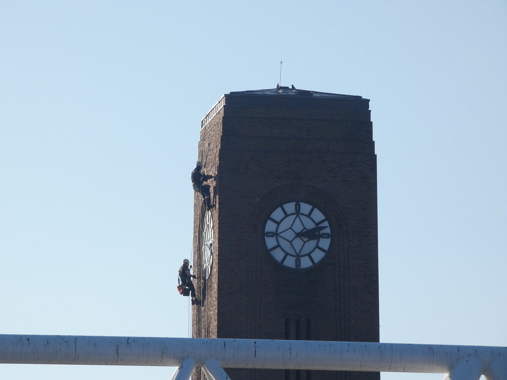 P1300294-XL.jpg