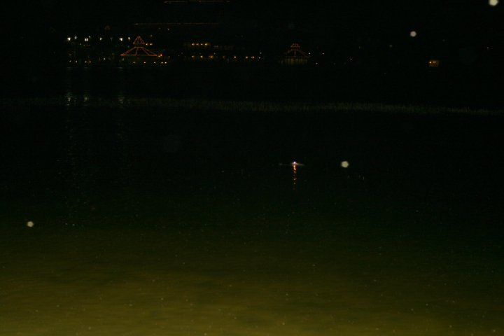 38937_432820913768_5666070_n.jpg