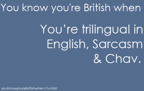 tumblr_llq0urtDFc1qks2j1o1_500.png