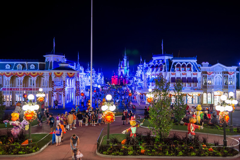 DSC_2964-L.jpg