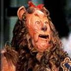 lion.jpg