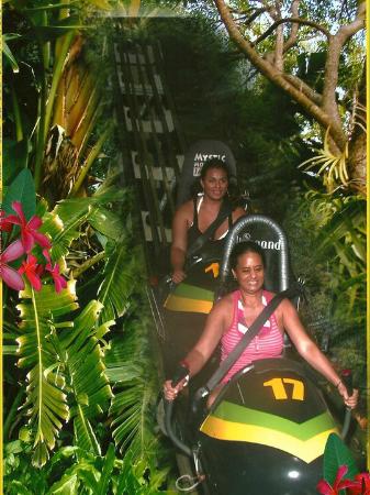 rainforest-bobsled-jamaica.jpg