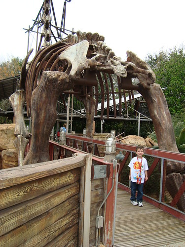 3689922507_322cb099f3.jpg