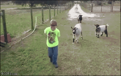 tumblr_oui83ezzfH1tpri36o1_500.gif