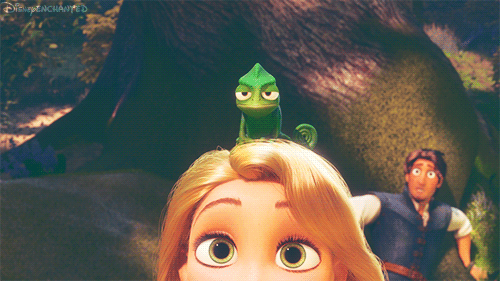 tumblr_n2lbt0gNun1tvy7qao1_500.gif