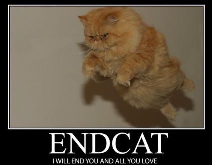 endcatfunny.jpg