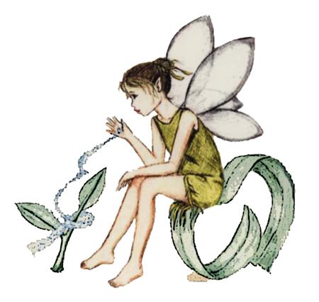 pixie.jpg