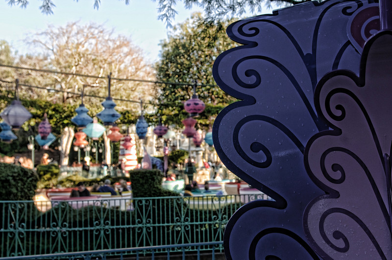 801316987_wtWNB-L.jpg