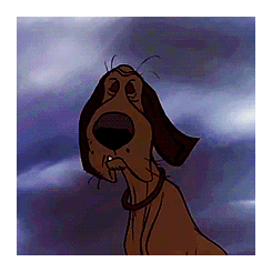tumblr_ntsqbhJ2Aa1sgolmbo2_250.gif