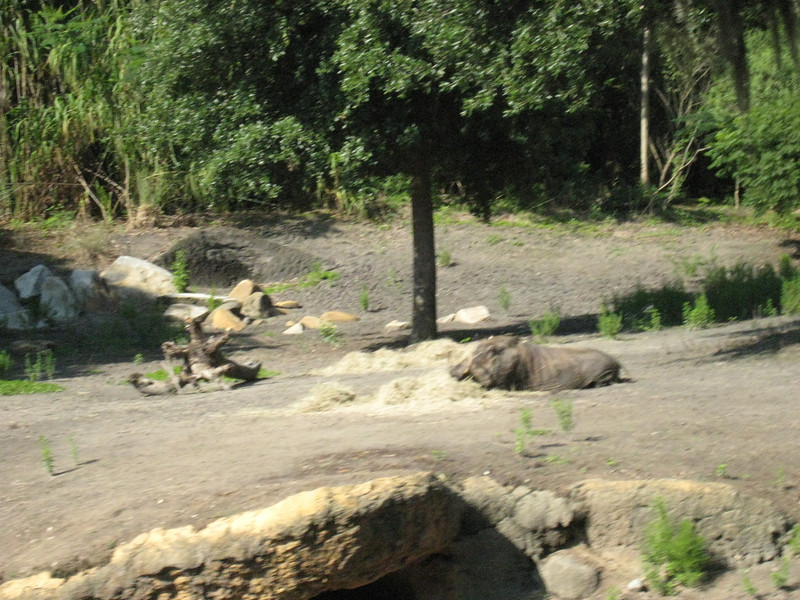322089994_TWAoY-L.jpg