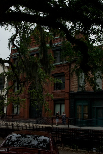 savannah-13.jpg