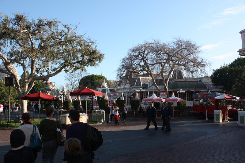 IMG9158-L.jpg