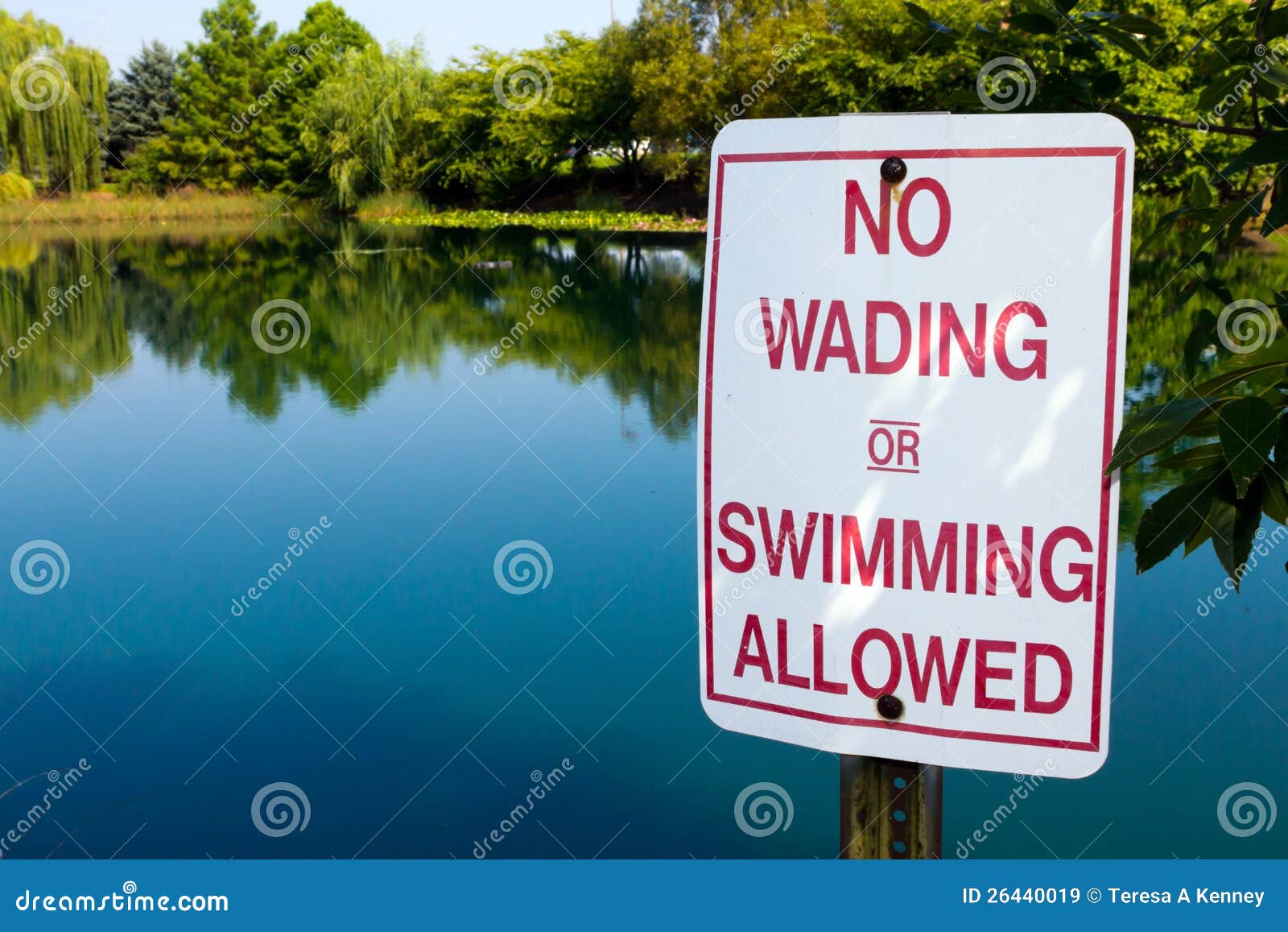 no-wading-pond-26440019.jpg