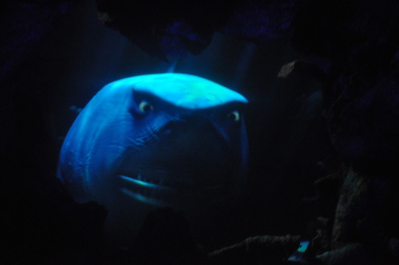585401037_JnMfE-L.jpg