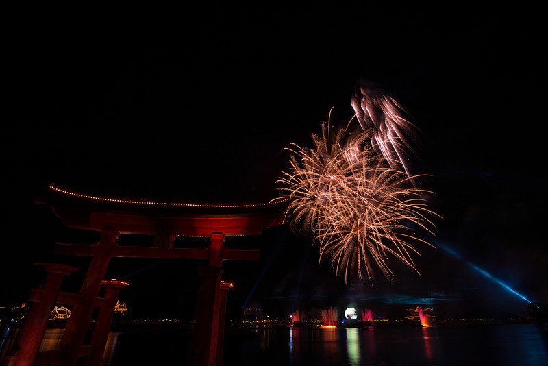 DSC_2602-L.jpg