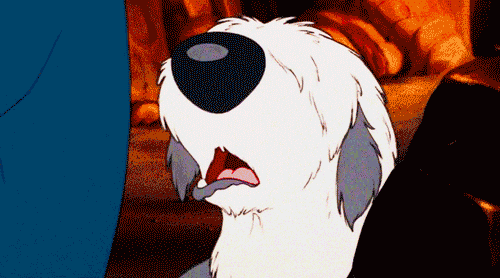 tumblr_lmbwufNP6M1qkc2v6o1_500.gif