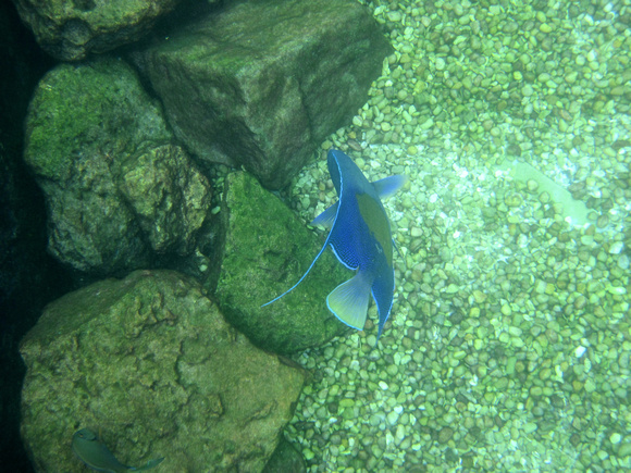 p77080862-3.jpg