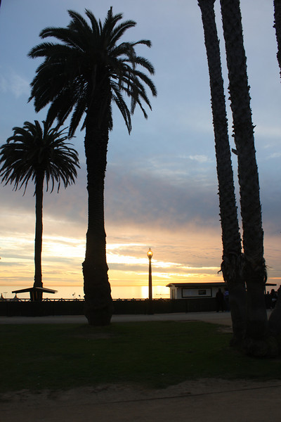 IMG_1111-L.jpg