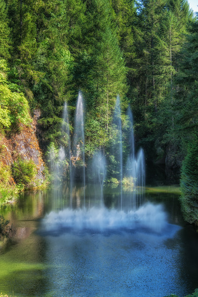 DSC_2759-L.jpg