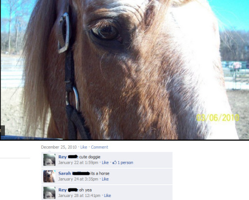 tumblr_liud3520061qav74eo1_500.png