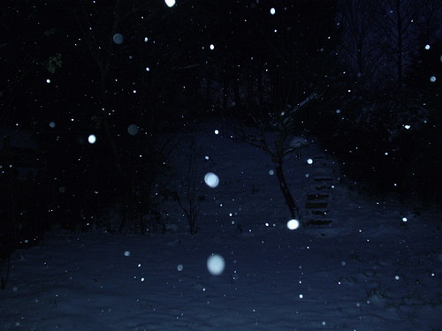 2788702719_fd82724299.jpg