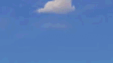 tumblr_lohgx6EdTj1qcpcy8o2_250.gif