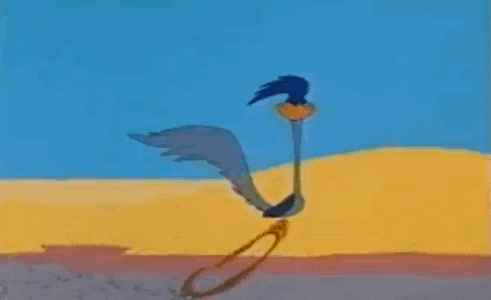 Road-runner GIFs - Get the best GIF on GIPHY
