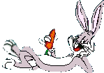 whsup1.gif