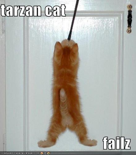 1204982164-locat-tarzanfail.jpg