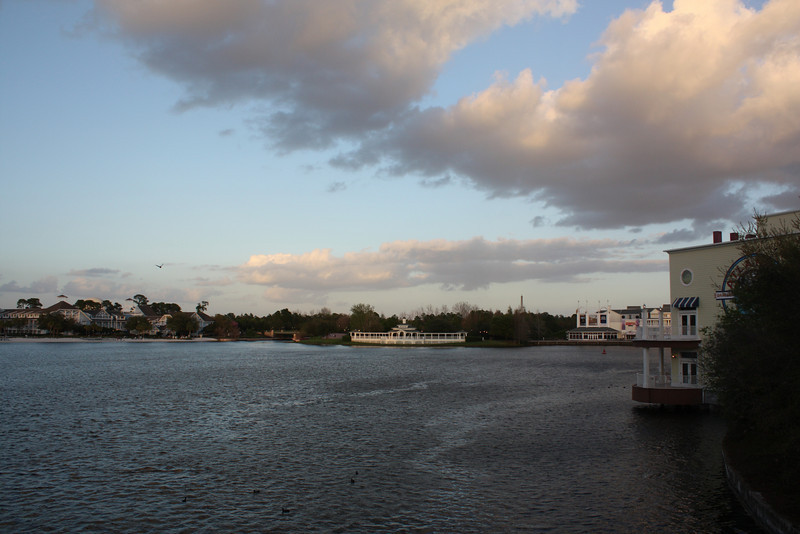 1211989351_Zv33F-L.jpg